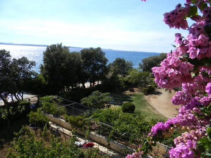 Apartments Puhalovic Zadar Croatia